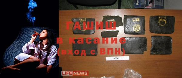 стаф Ладушкин