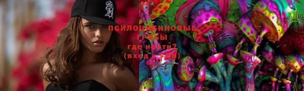 стаф Ладушкин
